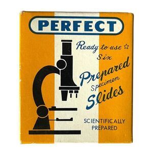 6 Perfect Brand 1” x 3” Prepared Specimen Slides Butterflies and Worms No 810